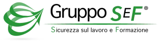 GRUPPO SEF S.R.L.
