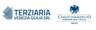 TERZIARIA VENEZIA GIULIA SRL